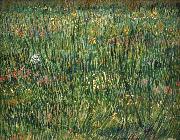 Vincent Van Gogh Patch of Grass Germany oil painting artist